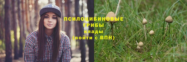 соль ск Алексеевка