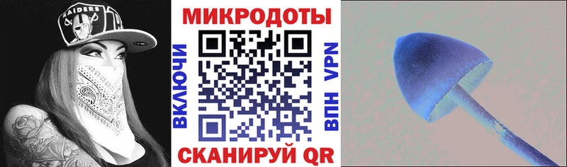 Псилоцибиновые грибы GOLDEN TEACHER  Любим 